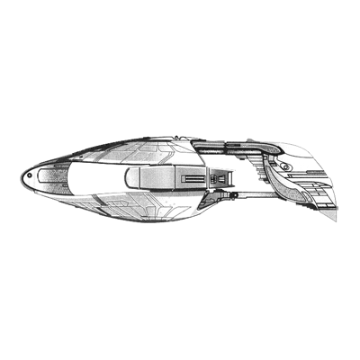 Dark Wing Class Battleship