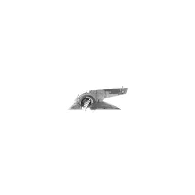 Pl21 Probe